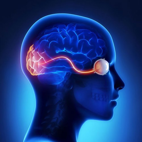Neuro Ophthalmology